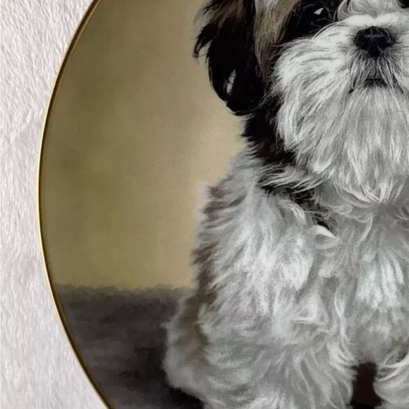 Cherished Shih Tzus HEART OF GOLD Plate Dog Puppy Danbury Mint Tzu Charming! - Picture 8 of 8